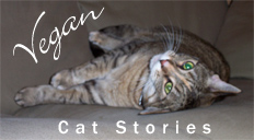 Vegan Cat Stories